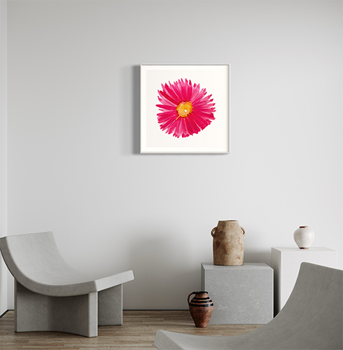 Pink Revival Limited Edition Print