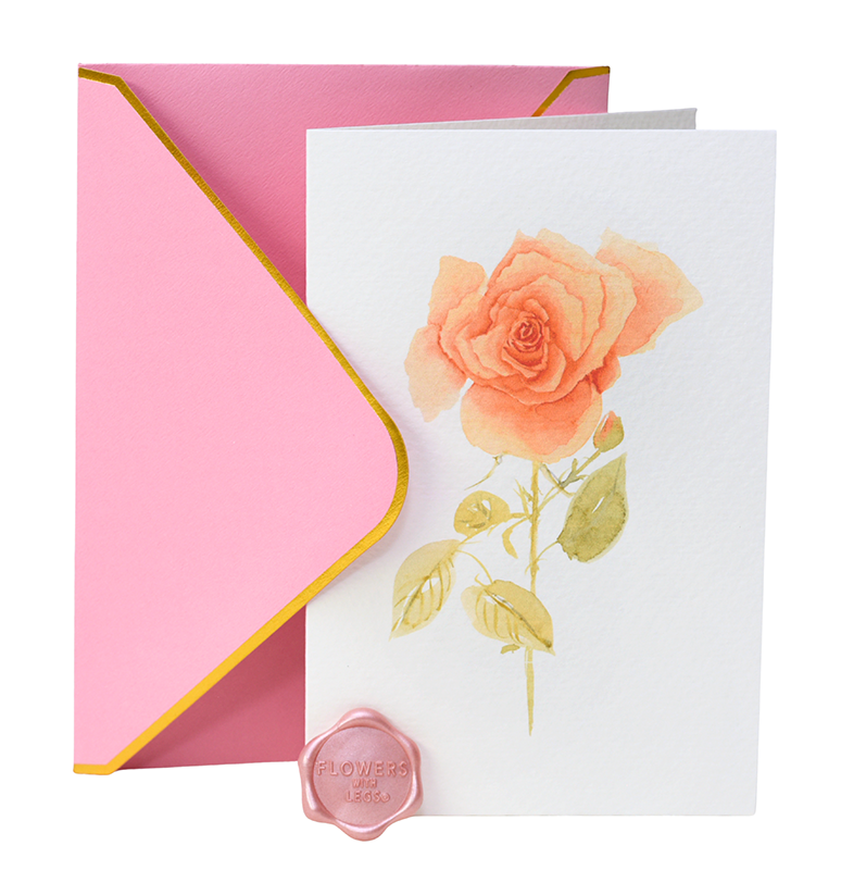 Peach Rose