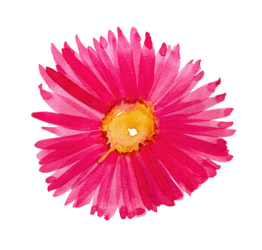 Pink Revival Limited Edition Print