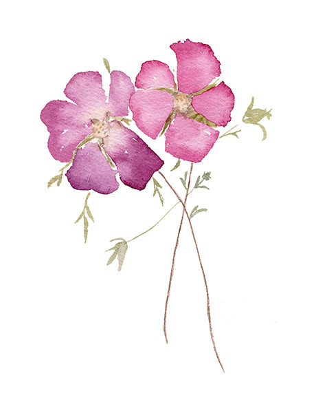 Texas Winecups, Limited Edition Print