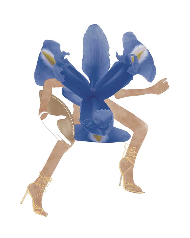 How 'Bout Them Cowboys