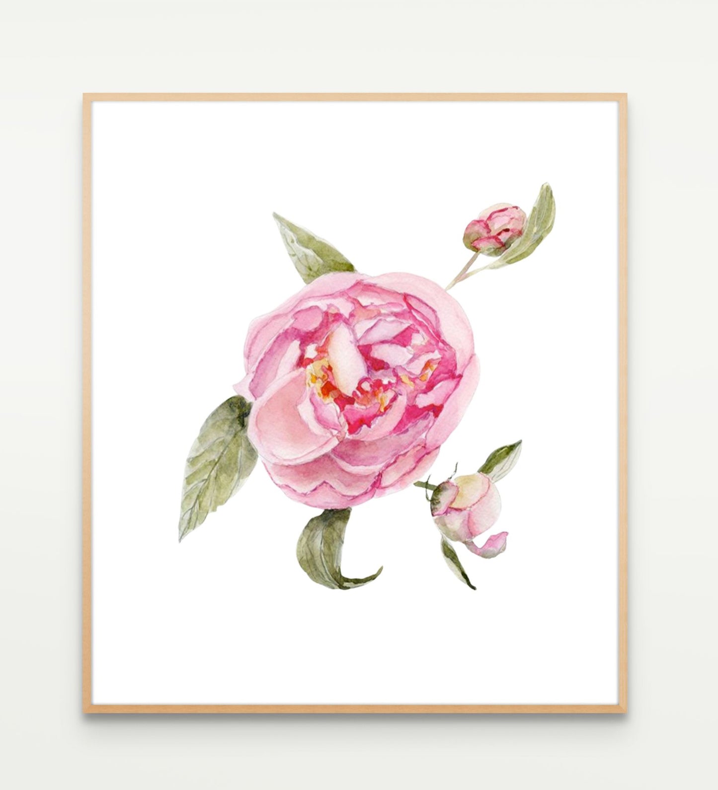 Pink Peony Study No. 10