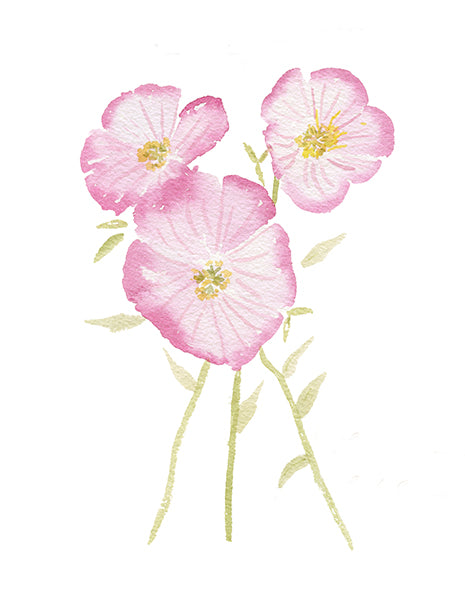 Evening Primrose, Limited Edition Print