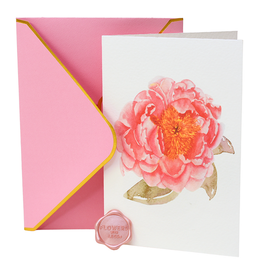 Pink Peony From Katie