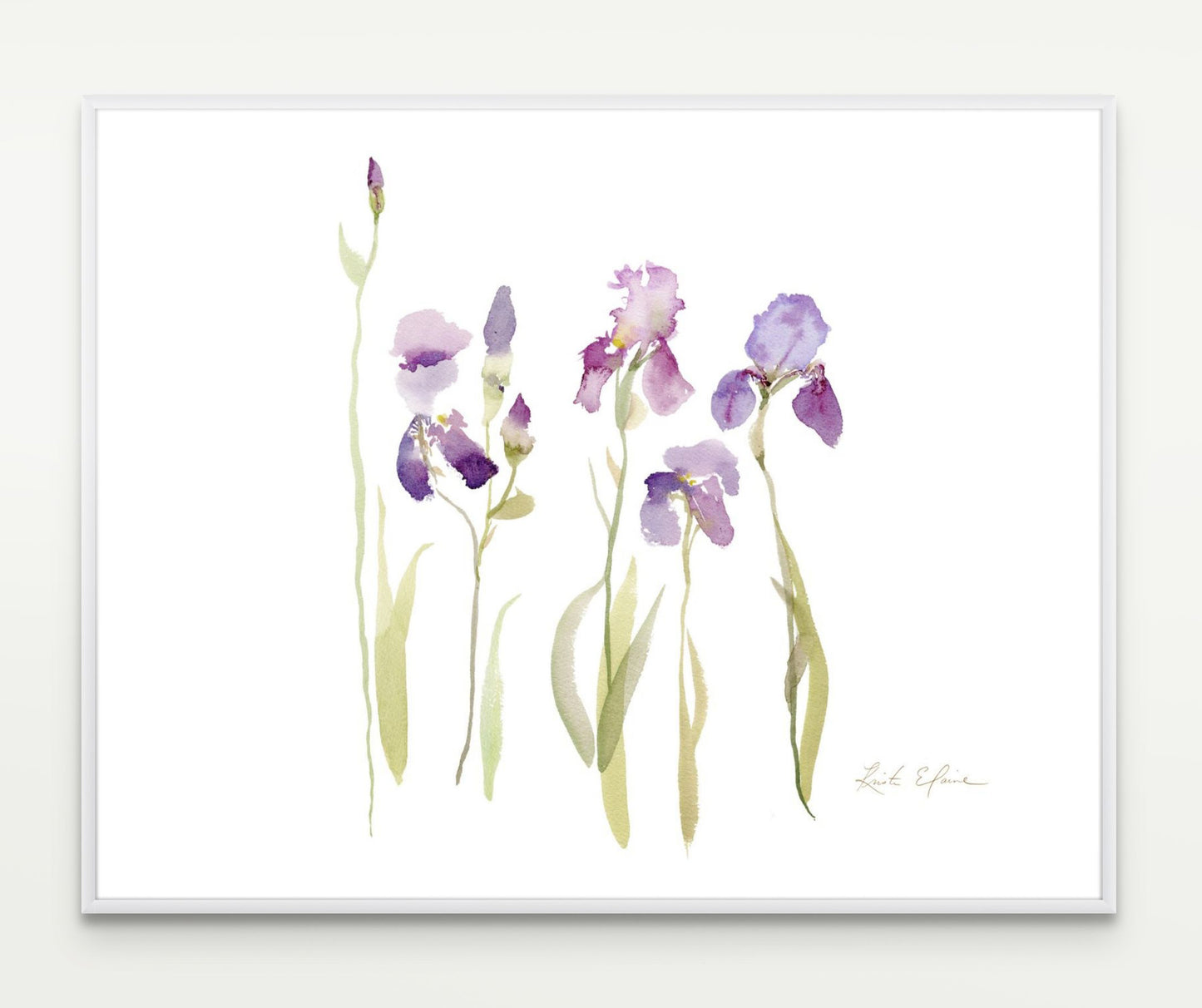 Horse Farm Irises, Limited Edition Print