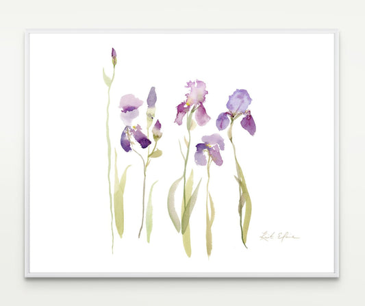 Horse Farm Irises, Limited Edition Print