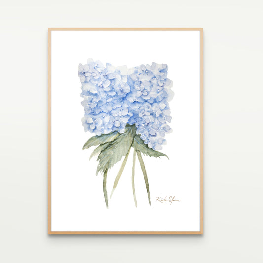 Blue Hydrangeas Study No. 1