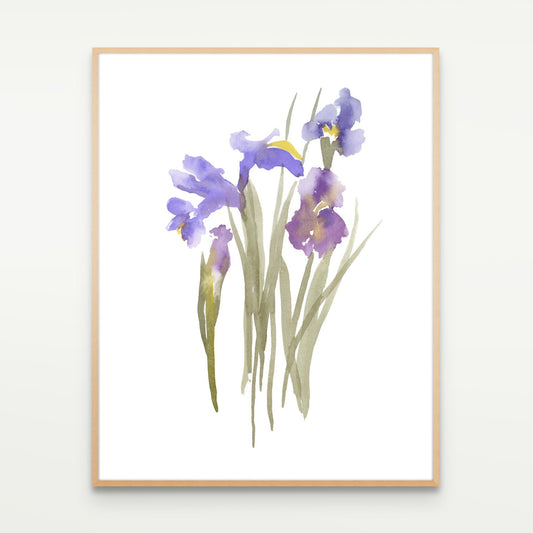 Kitchen Irises
