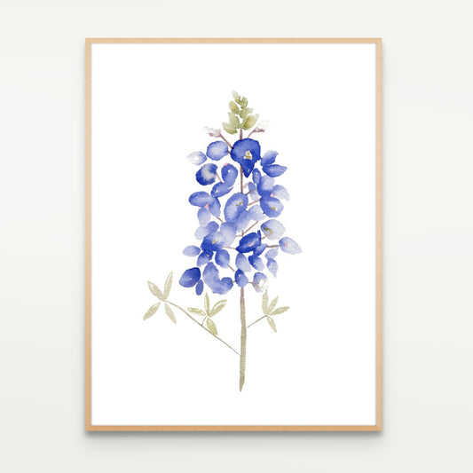Bluebonnet Study No. 5 Limited Edition Print