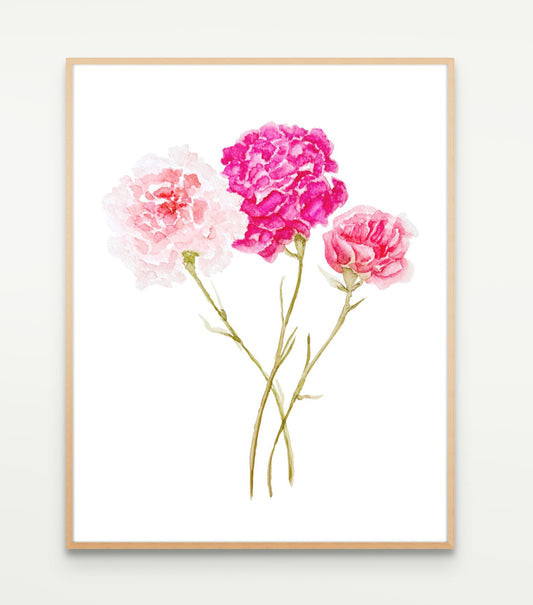 Pink Carnations