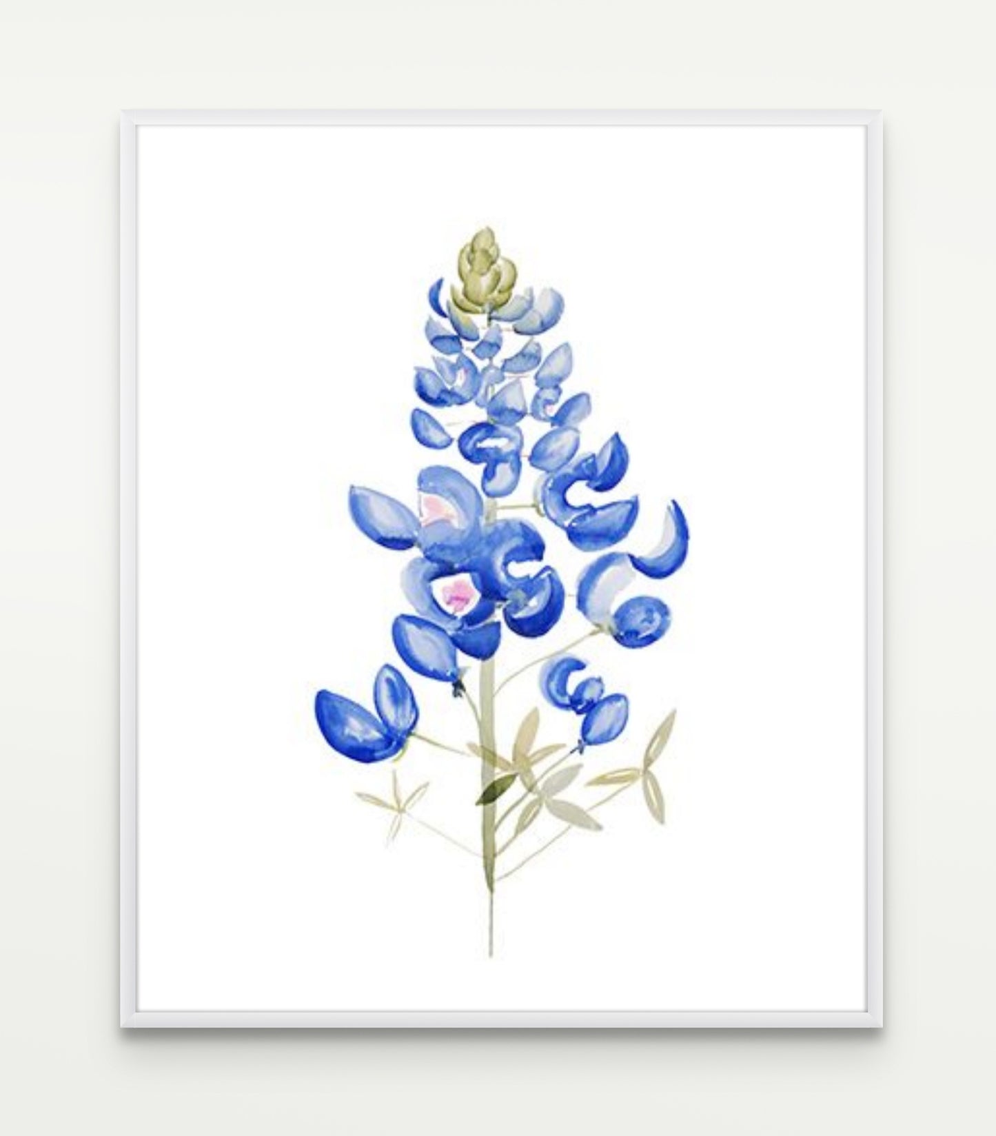 Bluebonnet Study No. 1