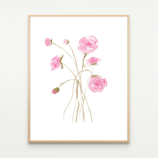 Pink Ranunculus Study No. 1
